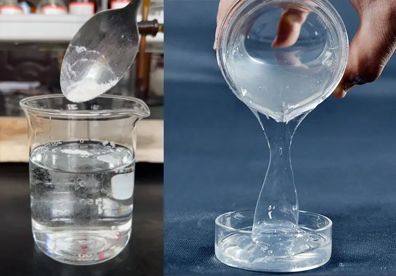 hec-Dissolution-Guidelines